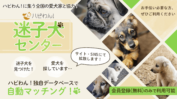 【ご案内】ハピわん！迷子犬センターの画像