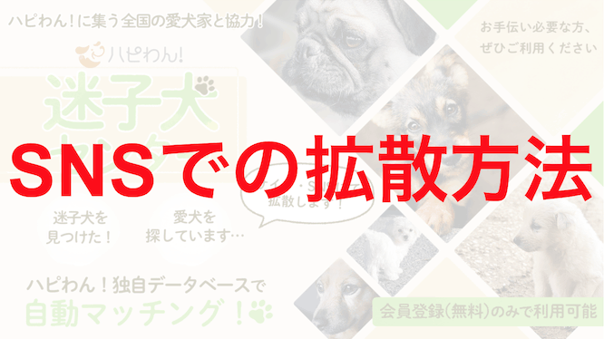 迷子犬のSNSでの拡散方法