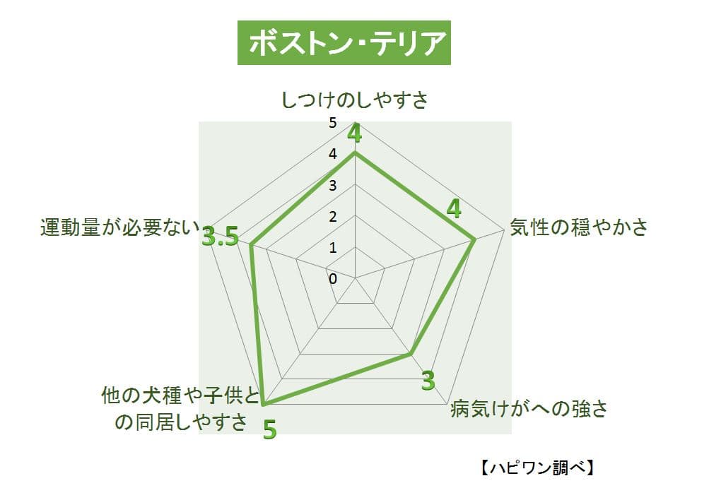 ボストン・テリアの特徴評価グラフ
