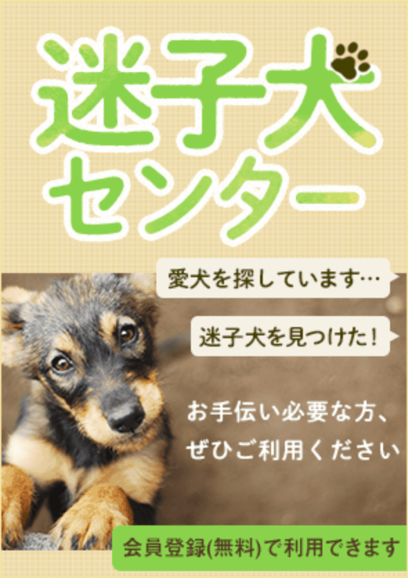 迷子犬センター